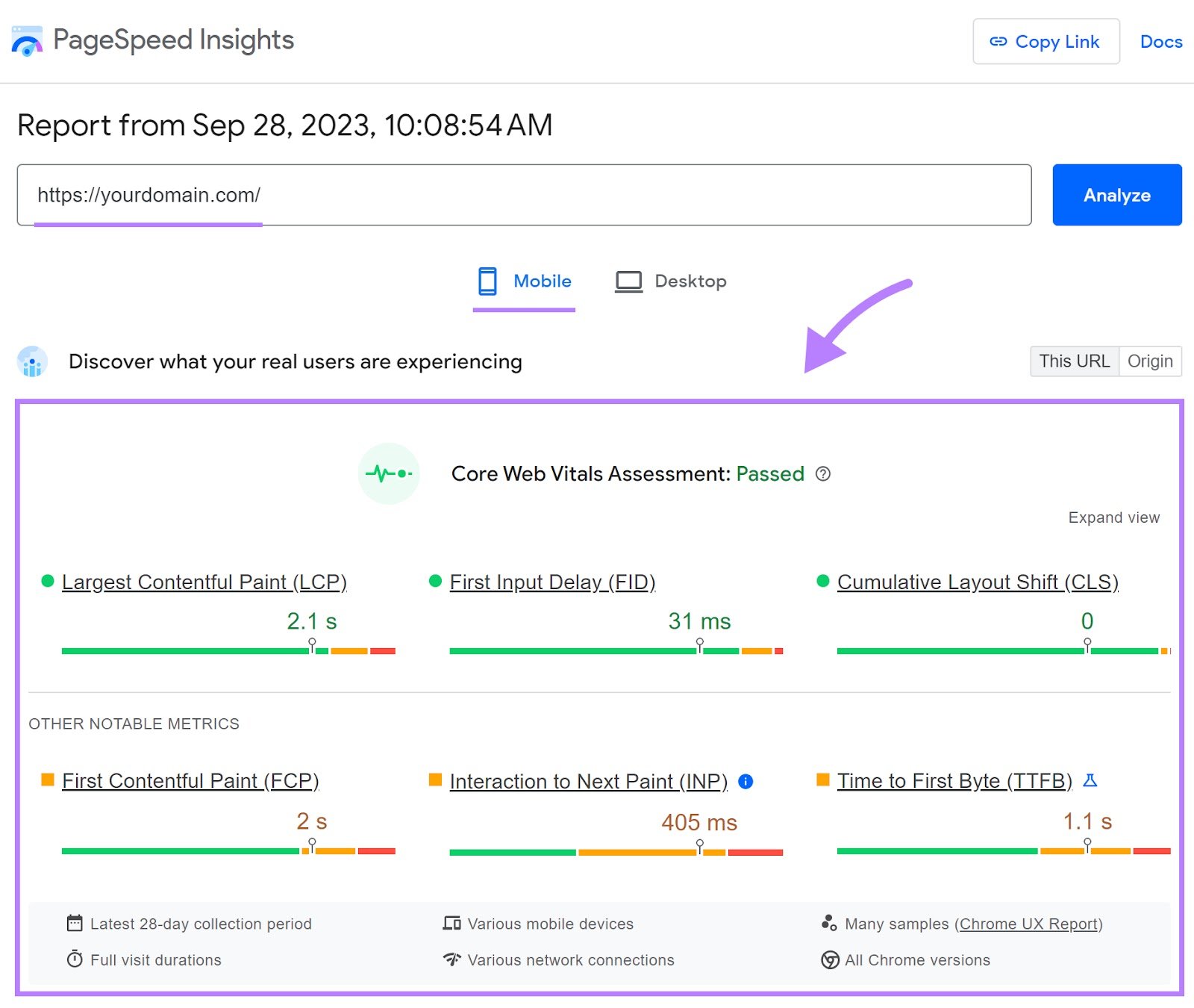 PageSpeed Insights's Core Web Vitals assessment report